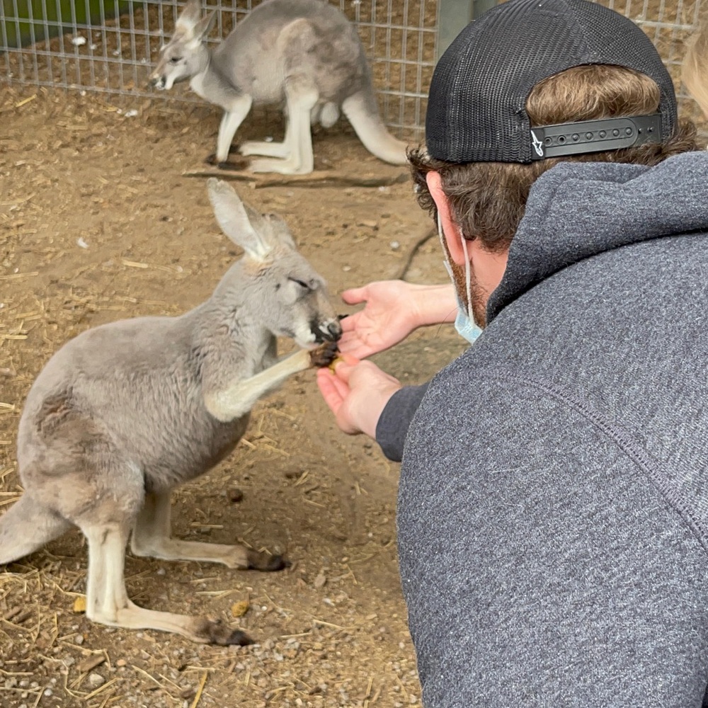 Meet your Posher, Cannon